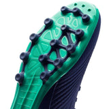 Adidas Predator 18.3 AG/FG Soccer Cleats Royal Blue White Green - soccerstory